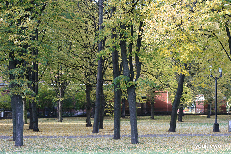 latvia6