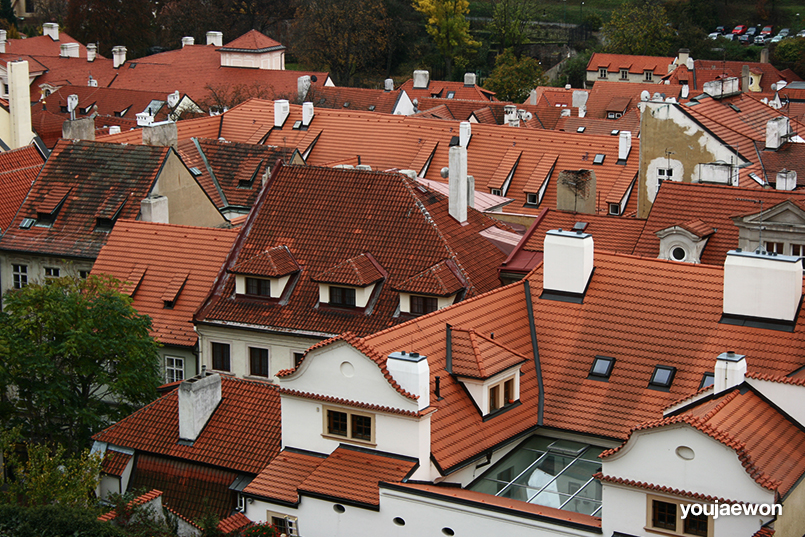 czech5