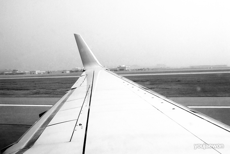 flight
